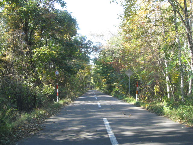 d0086191_2336373.jpg