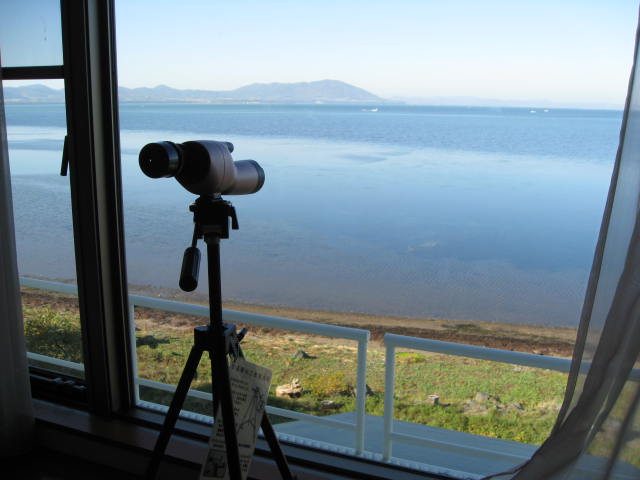 d0086191_2336854.jpg
