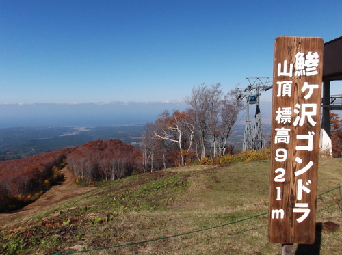 f0230992_14132994.jpg