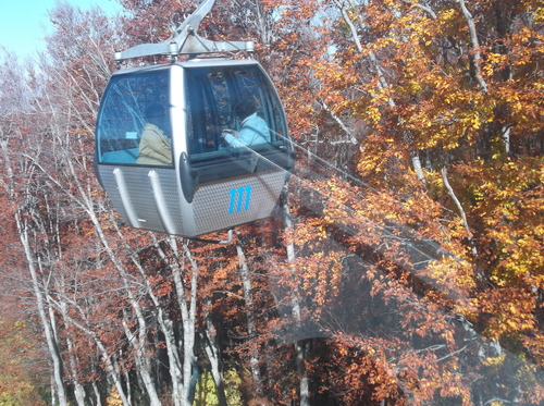 f0230992_14224625.jpg