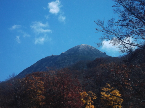 f0230992_1425614.jpg