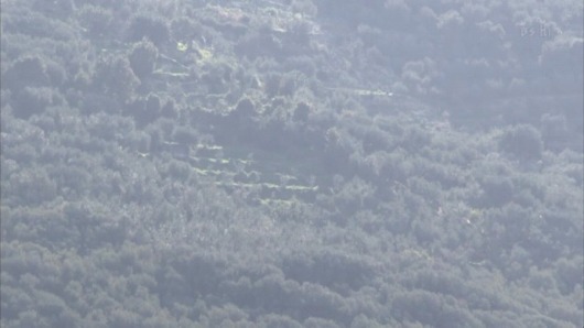 e0196993_5212354.jpg