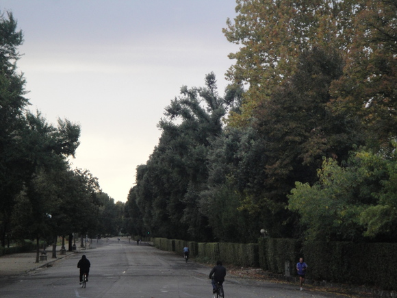 e0203793_3593670.jpg