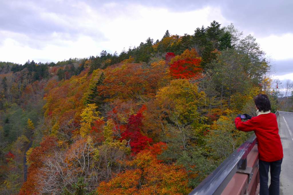 恵庭渓谷の紅葉 デジカメ持って野に山に