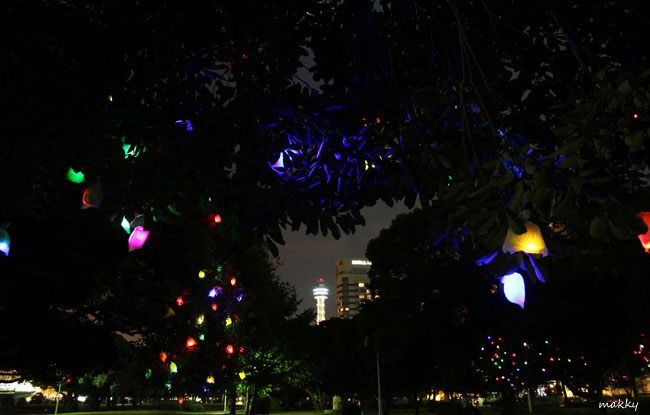 a0115202_23311351.jpg