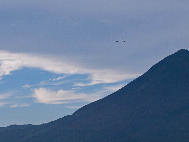 c0008502_6455613.jpg