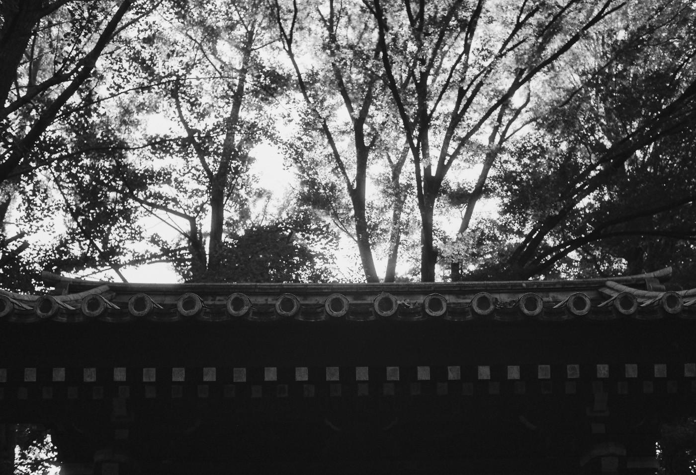 c0120903_1322473.jpg