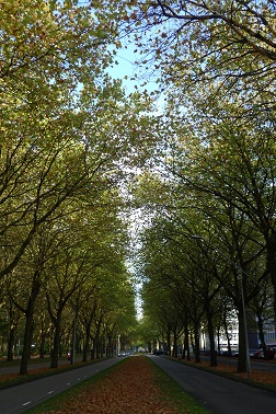 a0187808_1725557.jpg