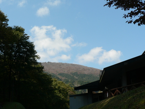 f0219710_8193019.jpg