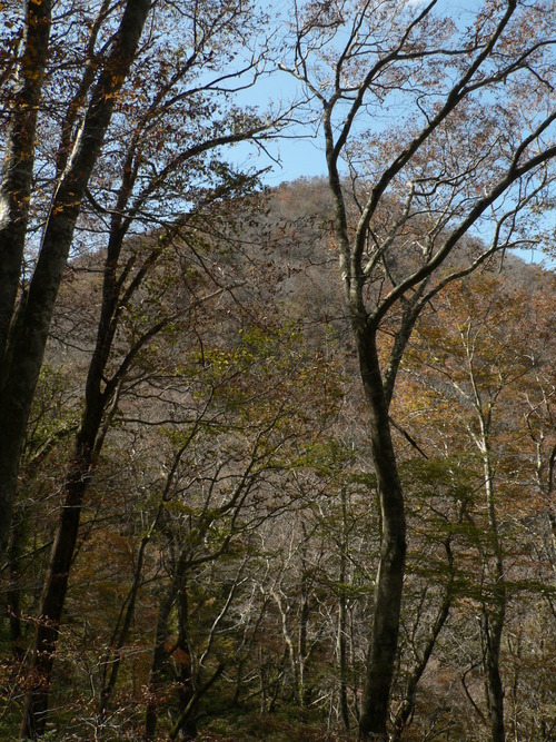 f0219710_8244538.jpg