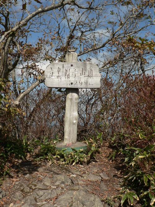 f0219710_8291380.jpg