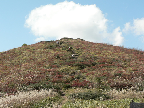 f0219710_8384555.jpg