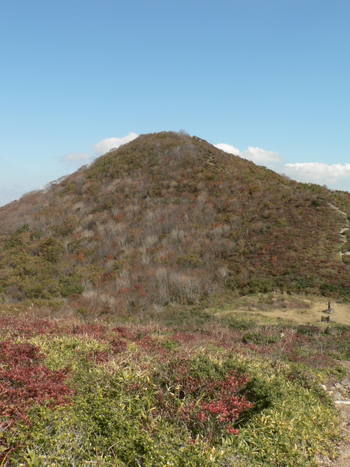 f0219710_844253.jpg