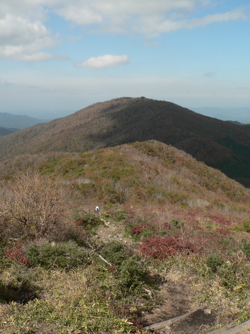 f0219710_8491357.jpg
