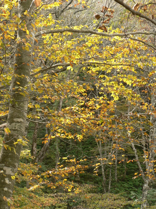 f0219710_9181868.jpg