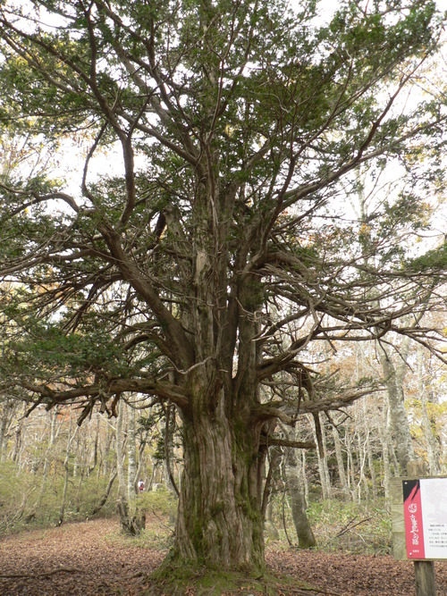 f0219710_923318.jpg