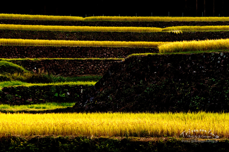 d0107811_21315780.jpg