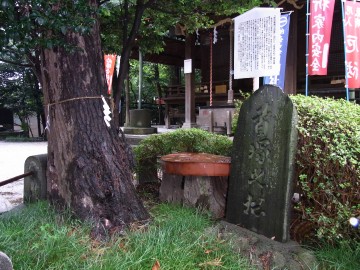 c0051112_20563244.jpg