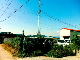 c0151418_72419.jpg