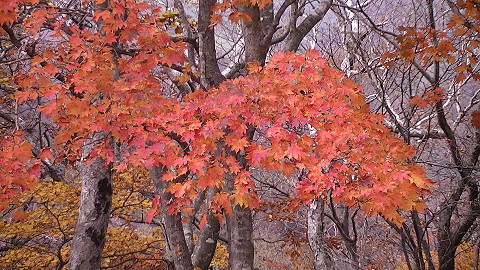 f0214121_16523.jpg