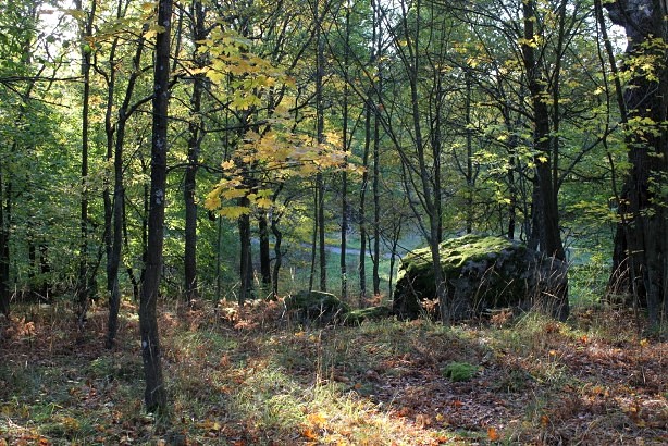 ユールゴーデン島の森の中　－　Skogen på Djurgården_e0250023_23233415.jpg