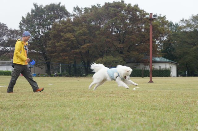 f0234023_1824769.jpg