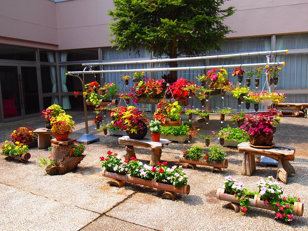千葉市花壇コンクール 続報 の巻_e0164724_14261544.jpg