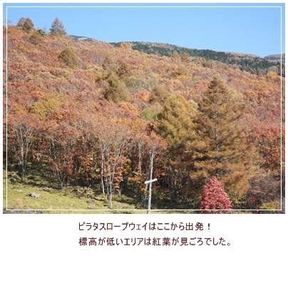 北八ヶ岳で山を満喫♪_c0141025_0462153.jpg