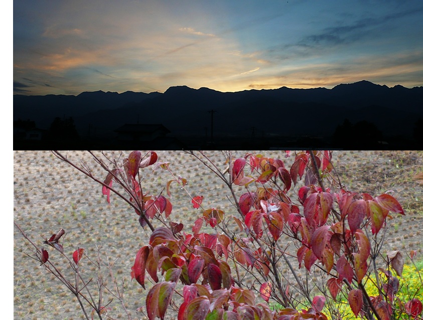 夕暮れの空の後光 とヤマボウシ_a0212730_10365795.jpg
