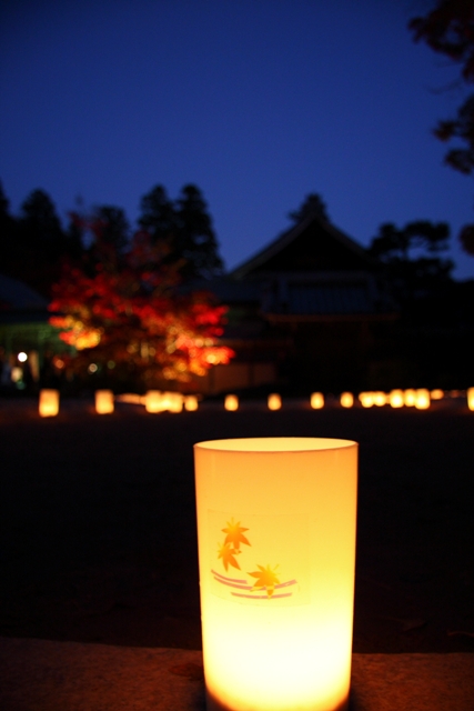 紅葉の湖東三山 －永源寺（紅葉ライトアップ）－_b0169330_16353152.jpg