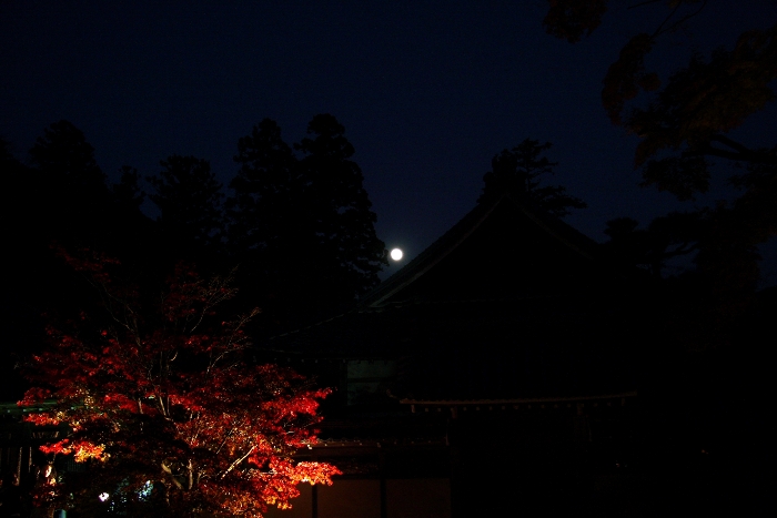 紅葉の湖東三山 －永源寺（紅葉ライトアップ）－_b0169330_16355935.jpg