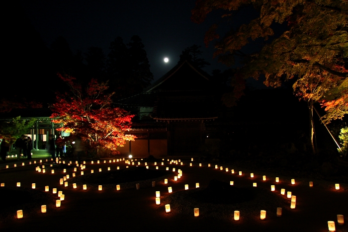 紅葉の湖東三山 －永源寺（紅葉ライトアップ）－_b0169330_16363767.jpg