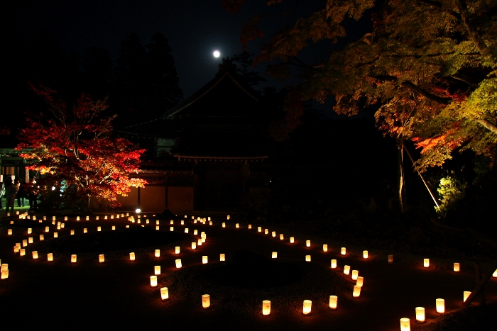 紅葉の湖東三山 －永源寺（紅葉ライトアップ）－_b0169330_1637242.jpg