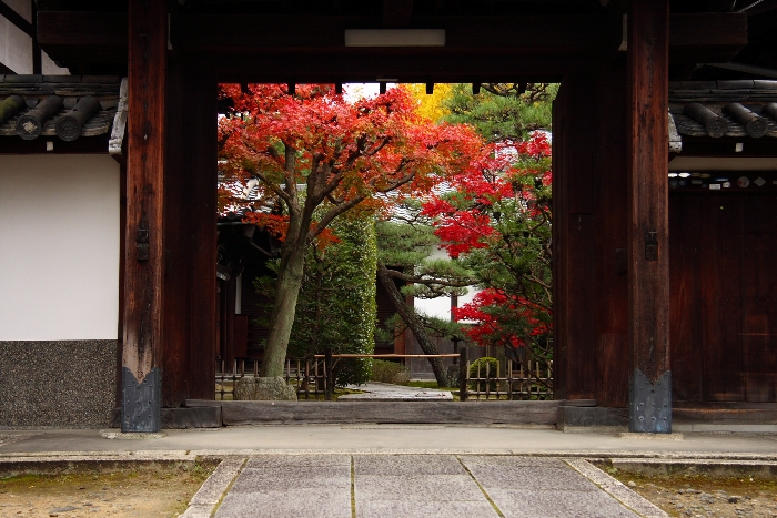 紅葉の東福寺 －栗棘庵－_b0169330_19113096.jpg