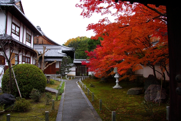 紅葉の東福寺 －栗棘庵－_b0169330_19113586.jpg