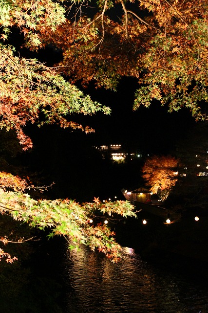 紅葉の高雄巡り －神護寺・ライトアップ（後編）－_b0169330_8415997.jpg