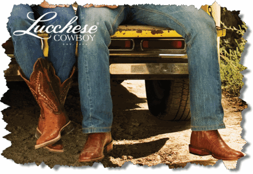 Lucchese(ルケーシー)のブーツ : Eddieのきまぐれ日記 Lucchese(ルケーシー)のブーツ : Eddieのきまぐれ日記
