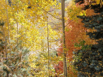 a0117737_15232472.jpg