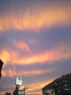 a0208443_0223759.jpg