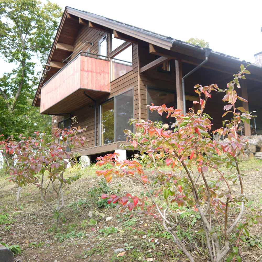 e0254846_35271.jpg