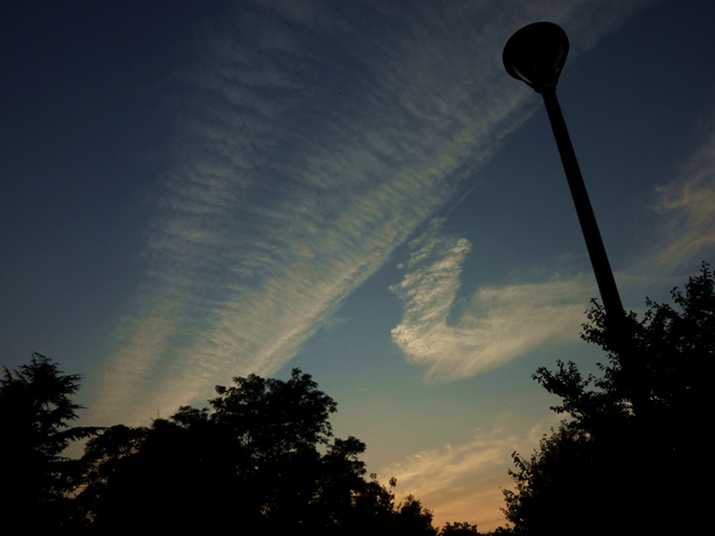 c0166252_11138.jpg