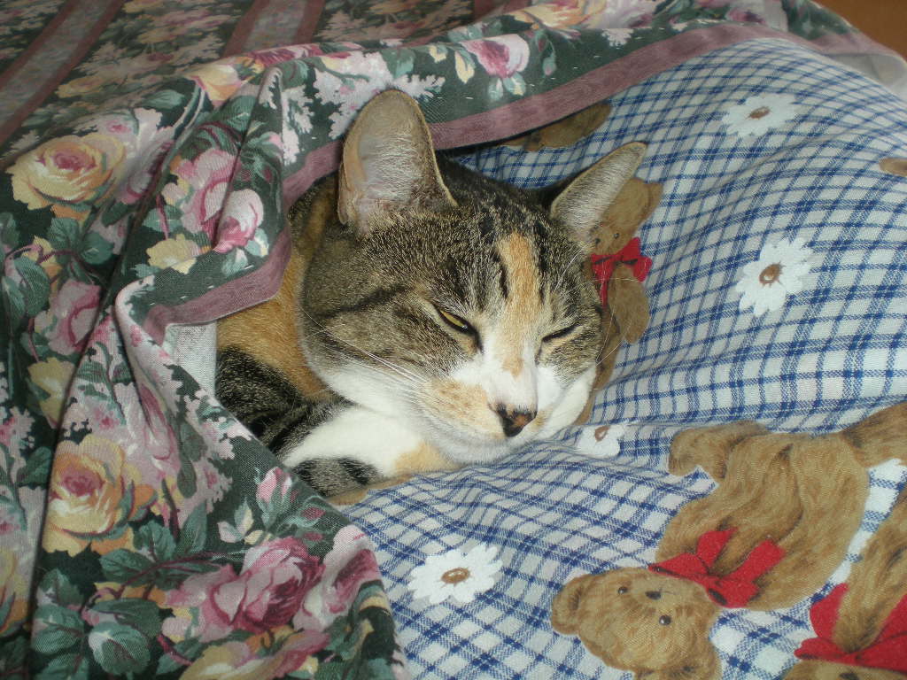 2011年10月22日(土)卓球で足を痛めてしまいました!_f0060461_161573.jpg