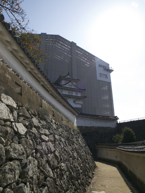 b0148762_8295696.jpg