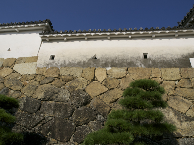 b0148762_8392590.jpg