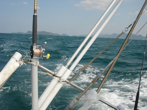e0101163_152587.jpg