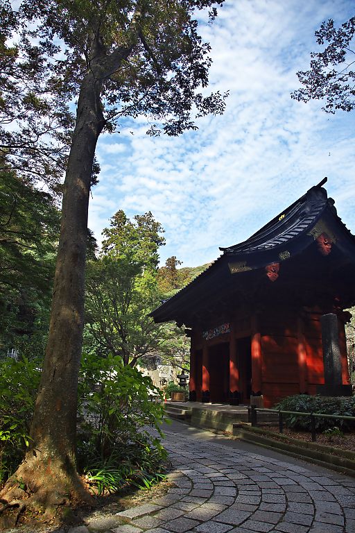 鎌倉　妙本寺　（１０月１７日）_c0057265_321461.jpg