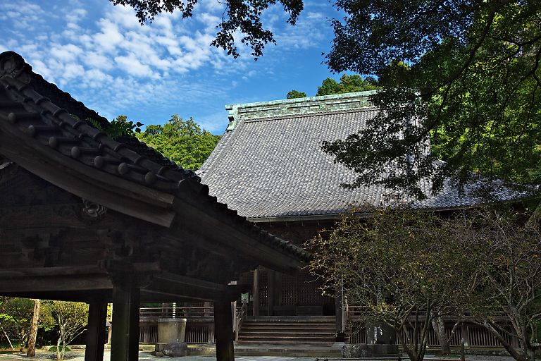 鎌倉　妙本寺　（１０月１７日）_c0057265_325874.jpg