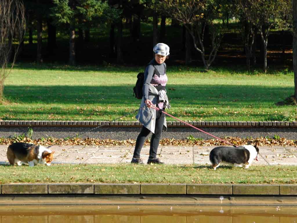 秋の訪れ前田森林公園　　10月22日_e0104567_20271434.jpg