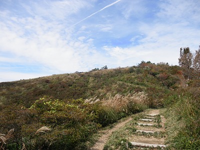 f0057070_156727.jpg