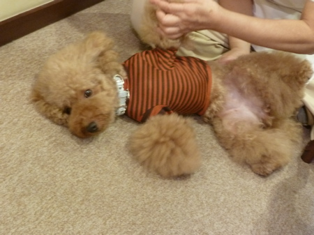 2011.10.21 整体治療_a0083571_013543.jpg